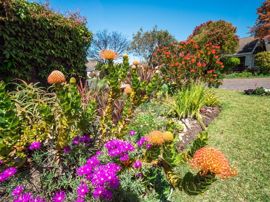 3 Bedroom Property for Sale in The Island Western Cape